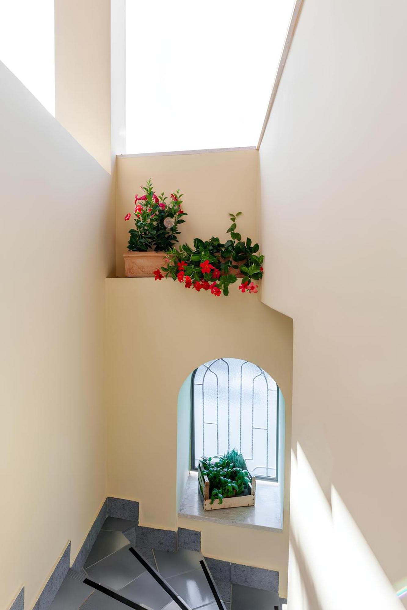 Casa Caterina Leilighet Lacco Ameno  Eksteriør bilde